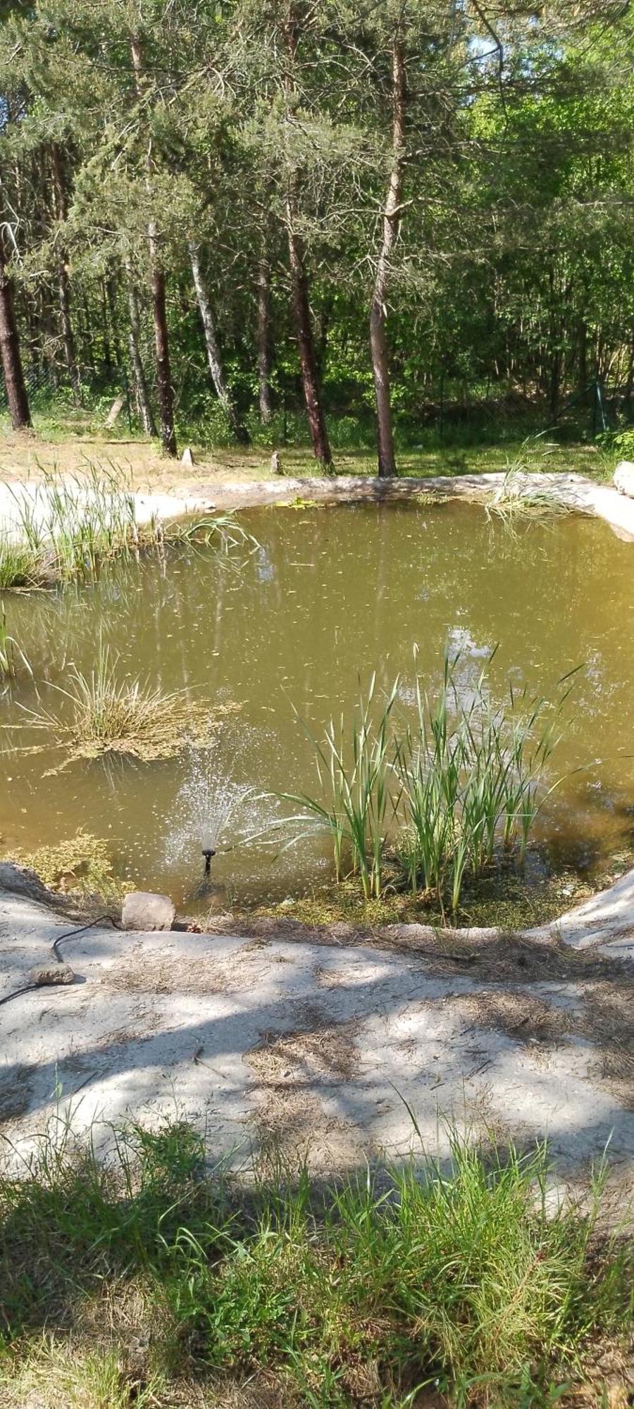 Villa ,,Domek Na Skarpie" Z Balia I Basenem Letnim Sulęczyno Exterior foto